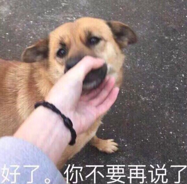别说了