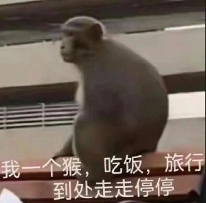 长距离骑行实测｜热门公路车性能、配置深度解析，哪台骑100公里最舒服？