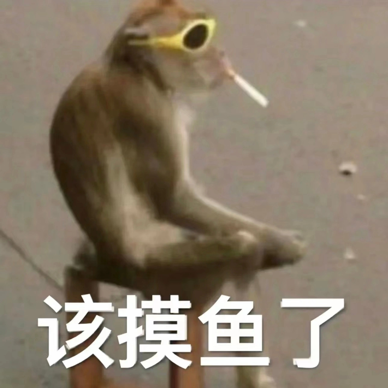平价公路车深度测评｜通勤骑行首选品牌车型推荐，省心又省钱