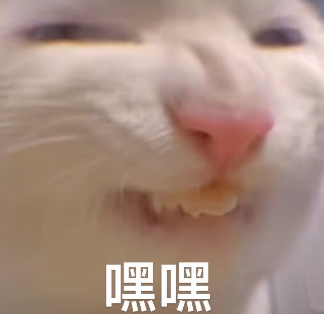 骑行服到底有没有必要穿？骑行裤/骑行服/锁鞋选购避坑指南