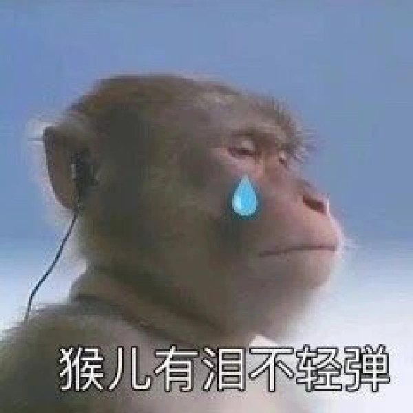 猴儿有泪