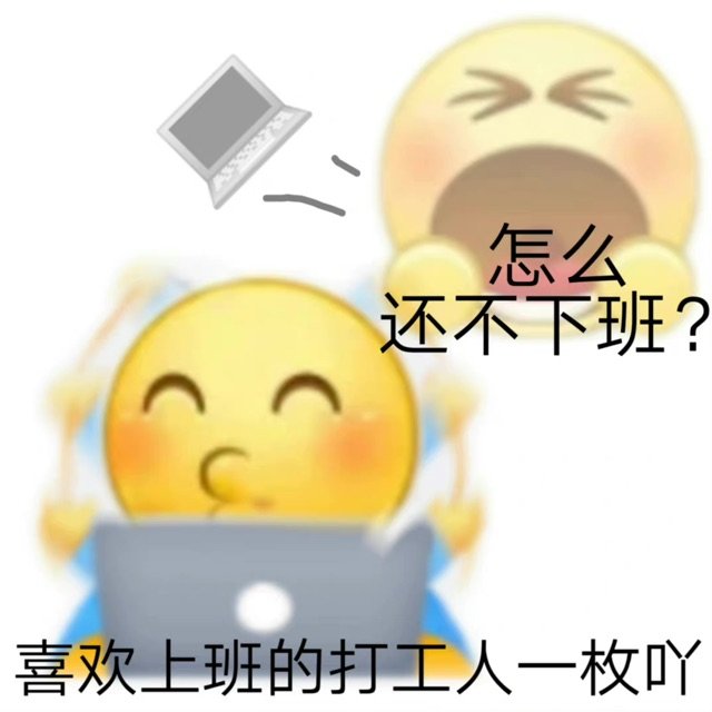 通勤代步首选｜多款平价公路车深度测评与选购建议，上班族必看